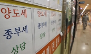 부부공동·서울 2주택자 종부세 부담 완화…'똘똘한 한채'는 늘 수도