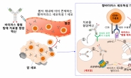 항암 백신기술 개발