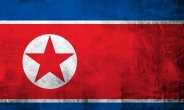 Human rights situation still dire in North Korea: think tank