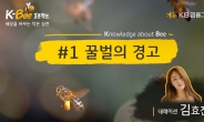 ‘벌 없이는 사람도 못산다’ KB금융, 꿀벌 필요성 역설
