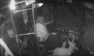 [영상] 버스 유리 뚫고 들어 온 사슴…버스 운전사 의연한 대처