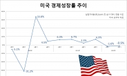 “피치, 내년 미국 경제성장률 전망치 1.5%→0.5%로 대폭 하향 조정”