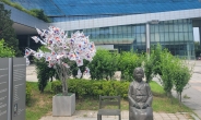 성남시청 광장 평화의 소녀상 앞 자율헌화대 설치