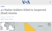 말리군, ‘IS분파 추정’ 이슬람 무장단체 공격에 42명 사망