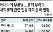 캐나다 유학생 전공-노동수요 불일치 해결 ‘포털’ 필요