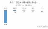 “우크라戰 탓 러 소득 -12%…中0.23%↓”