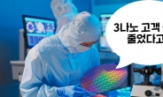 “TSMC 3나노 물량 줄어든다”…삼성에 기회될까 [비즈360]