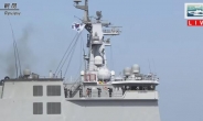 한국 해군, 일본 관함식서 '욱일기' 이즈모함에 경례