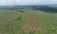 산림청, ‘인도네시아 이탄지 복원사업’ 공적개발원조 ‘우수사례’ 선정