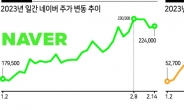 ‘네카오’ 연내 30층·10층 입성 들뜬 개미