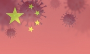 제2의 코로나 사태 올까…중국서 유행성 독감 '주의보'