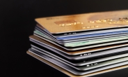 “혜자카드 이제 발급 못 받나요?” 상반기 139개 카드 단종