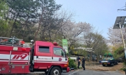 “40년 만에 처음 본 산불” 현실 된 기후 위기, 서울 한복판 덮쳤다