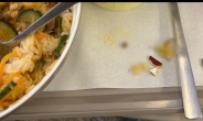 “아시아나 기내식 먹다 치아 3개 손상”…돌·깨진 접시조각까지 나왔다