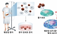 가천대, 췌장암표적 원천기술개발