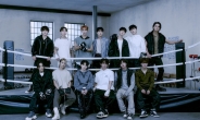 세븐틴, 뉴 키즈 온 더 블록과 만났다