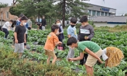 서울-전남교육청, 농촌유학 만남의 날…조희연 “농촌유학으로 생태감수성 기르길”