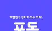 LG유플러스, 펫케어 플랫폼 ‘포동’ 가입자 30만 돌파