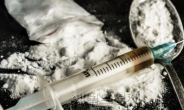 ‘마약청정국’ 지위 무색…여행자 밀수 마약량 7배 급증