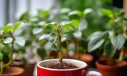 포스코이앤씨, 커피 찌꺼기 활용한 ‘친환경 조경 토양개량제’ 개발