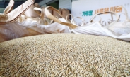 농림축산식품부 ‘가루쌀’ 직접 알린다