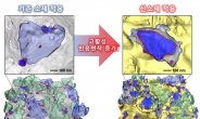 “상용소재보다 이온전도도 140배↑” KAIST, 그린수소 생산 고체전해질 개발