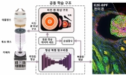 “15.5배 고해상 영상 획득” 연세대, AI 광학현미경 개발