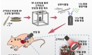 “종양 크기 확 줄였다” 나노약물 방출 ‘癌 표적 총알’ 뭐길래