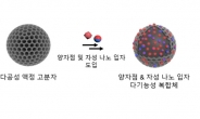 “오염물질 없애고 가스 흡착까지 척척” KAIST, 나노입자 복합체 제작기술 개발