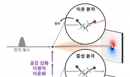 “기체 이온탄생 비밀 풀었다”…‘구조적 암흑 상태’ 최초 규명