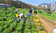 용인시, 도시농부 794팀 모집