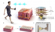 KAIST, 땀에도 끄떡없는 ‘웨어러블 로봇’ 센서 개발