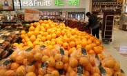 국산과일 가격 오르자 수입산도 ‘高高’…오렌지 매출 20배↑