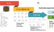 “버려지는 폐목재 환골탈태” 항공기 바이오연료로 바꿔쓴다