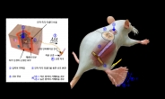 “화상사고 환자들 희소식” 피부 재생·촉각 복원 성공…신개념 ‘인공피부’ 등장