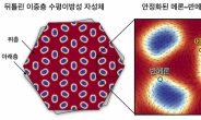 KAIST, 차세대 반도체 안정화 기술 최초 개발