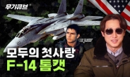 무기계 미인박명의 대명사 F-14 톰캣[오상현의 무기큐브]