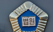 “술 그만” 잔소리한 아내 살해한 60대 징역 12년