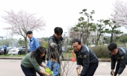 서해해경청, 식목일 나무 심기 행사 개최