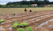 전남도, 농업정책보험료 지원 1천946억 역대 최다