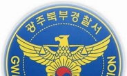 테이저건 맞고 검거된 50대 숨져