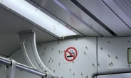 지하철 뒤덮은 ‘팅커벨’?…예년보다 일찍 찾아온 이 벌레의 정체는