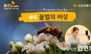KB금융, 세계 벌의 날 맞아 ‘꿀벌의 비상’ 캠페인 영상 공개