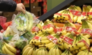 바나나·파인애플 수입액 ‘사상 최대’…가격도 떨어졌다