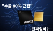 삼성 겨우 ‘50%’ 찍었는데 SK는 ‘80%’? HBM 수율 진실은 [김민지의 칩만사!]