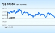 영풍, 다시 40만원 밑으로...증권가 “서린상사 법원결정 타격”