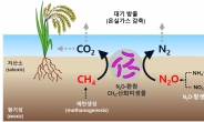 “이건 반드시 키워야해” 온실가스 먹어치우는 ‘미생물’ 있다고?