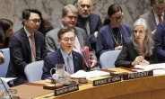 유엔 안보리, 美 주도 ‘가자 3단계 휴전안’ 지지 결의 채택