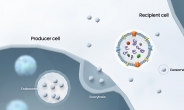 韓 바이오스타트업, ‘엑소좀 치료제’ 글로벌 상용화 청신호