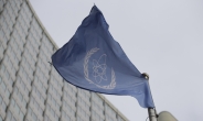 IAEA 